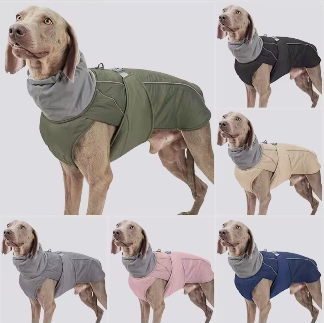 Winterjacke für Hunde - Warm & Wasserdicht