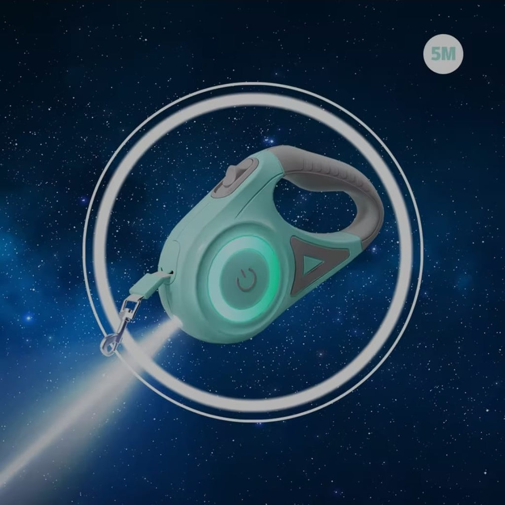 Die neue Hype-Hundeleine mit LED-Licht für Hunde - 3m/5m